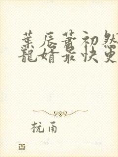 叶辰萧初然上门龙婿最快更新