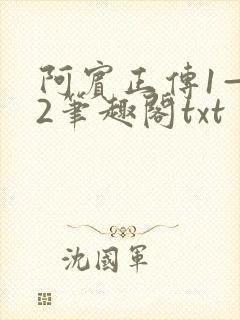 阿宾正传1—72笔趣阁txt