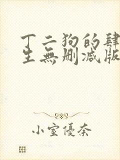 丁二狗的肆意人生无删减版