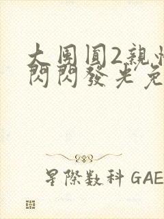 大团圆2亲情会闪闪发光免费