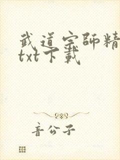 武道宗师精校版txt下载