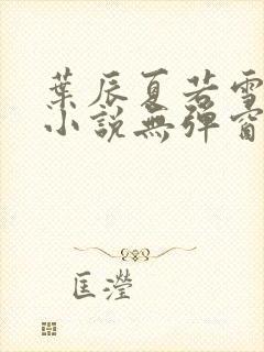 叶辰夏若雪孙怡小说无弹窗封面