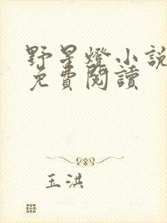 野星灯小说全文免费阅读封面