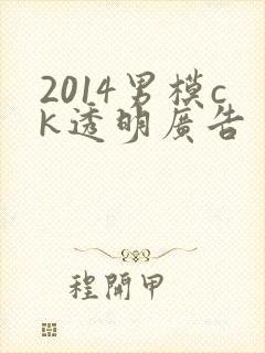 2014男模ck透明广告封面