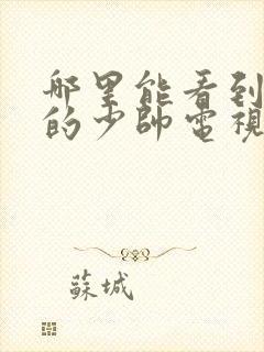 哪里能看到免费的少帅电视剧