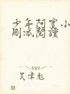 少年阿宾小说无删减阅读