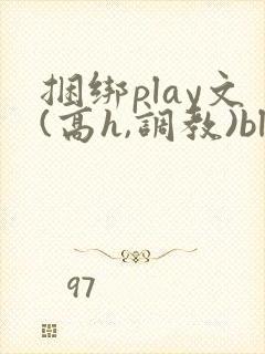 捆绑play文(高h,调教)bl