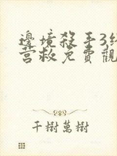 边境杀手3终极营救免费观看高清