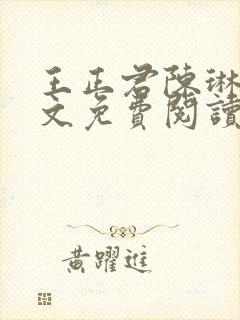 王正君陈琳洁全文免费阅读最新章节