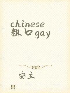 chinese粗口gay