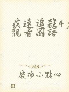 疾速追杀4免费观看国语