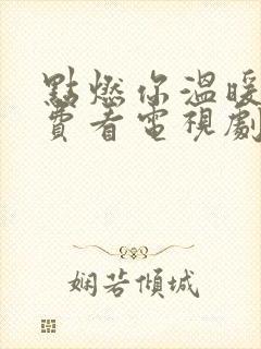 点燃你温暖我免费看电视剧封面