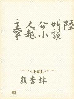 主人公叫陆羽的穿越小说