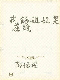 我的姐姐是法官 在线封面