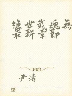 绝世武魂无弹窗最新章节