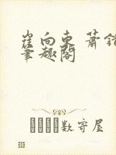 崔向东 萧错 笔趣阁