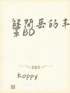 解开岳的丰满奶罩BD封面