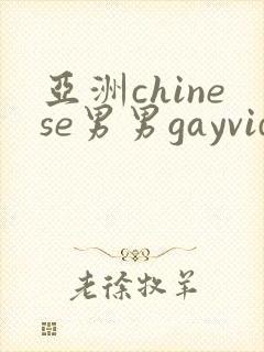 亚洲chinese男男gayvideo