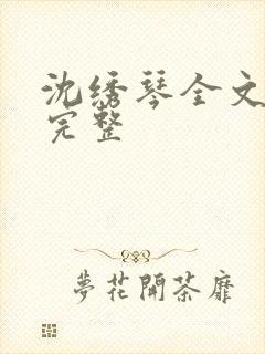 沈绣琴全文阅读完整封面