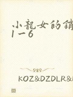 小龙女的销魂夜1一6封面