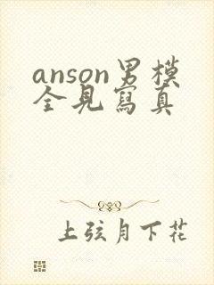 anson男模全见写真