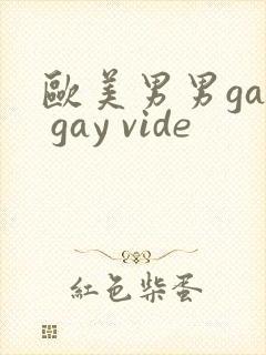 欧美男男gay gay vide