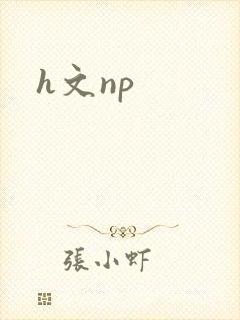 h文np封面