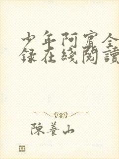 少年阿宾全文目录在线阅读封面