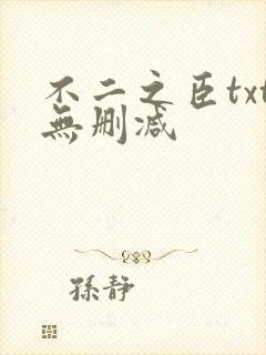 不二之臣txt无删减