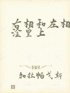 右相和左相一起淦皇上