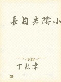 长日光阴小说