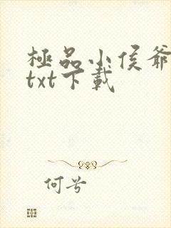 极品小侯爷免费txt下载