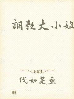 调教大小姐封面