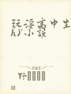 玩淫高中生(高h)'小说