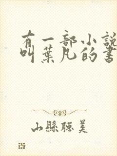 有一部小说主角叫叶凡的书名