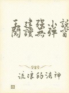 王建强小说免费阅读无弹窗