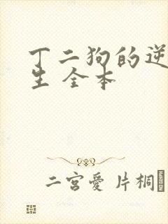 丁二狗的逆袭人生 全本