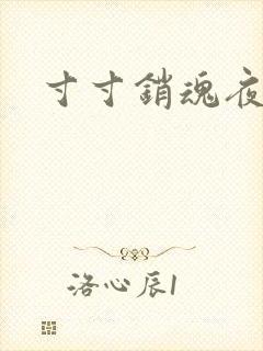 寸寸销魂夜春光