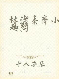 林洁秦齐小说笔趣阁