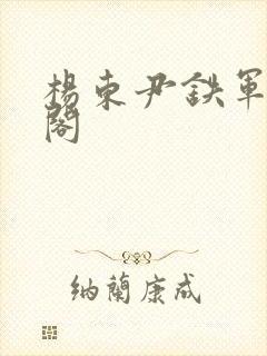 杨东尹铁军笔趣阁