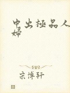 中出极品人妻少妇