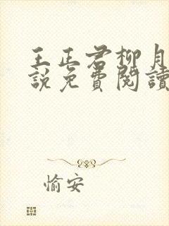 王正君柳月瑶小说免费阅读最新章节