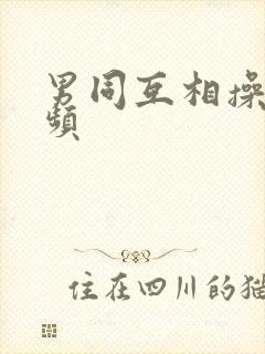 男同互相操的视频