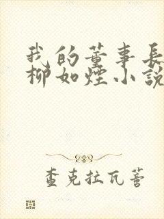 我的董事长母亲柳如烟小说