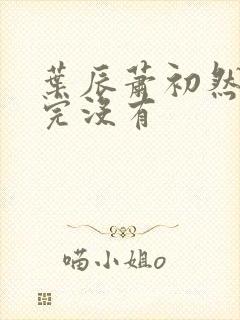 叶辰萧初然更新完没有