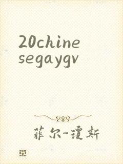 20chinesegaygv