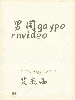 男同gaypornvideo