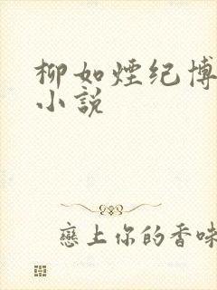 柳如烟纪博达的小说