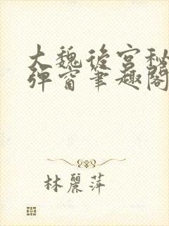 大魏后宫秘史无弹窗笔趣阁