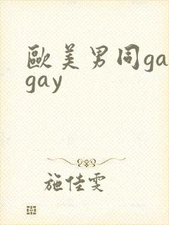 欧美男同gaygay